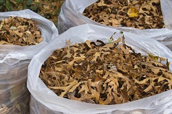 Waste Collection Services UK