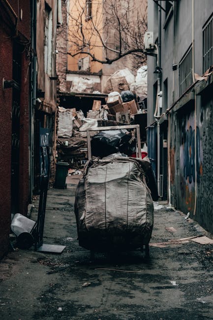 A narrow urban alleyway with a mix of brick and painted walls, cluttered with large black plastic bags, cardboard boxes, and scattered waste. In the foreground, a wheeled refuse sack is positioned, indicating recent rubbish removal or collection efforts. The alley shows signs of use, with asphalt pavement that has some dirt and stains, and a few discarded items lying on the ground. In the background, stacked cardboard boxes and other waste materials create a makeshift heap, partially blocking the view of trees and buildings beyond. An electrical box and piping are visible on the right side of the alley, alongside graffiti-covered surfaces on the wall. The environment has a slightly gritty, urban atmosphere, reflecting a setting where private or independent waste collection may be taking place, consistent with rubbish removal services like those offered by London Rubbish Removal. The overall scene suggests a typical backstreet area involved in waste management activities, with natural daylight illuminating the scene and emphasizing the textures and materials of the accumulated rubbish.